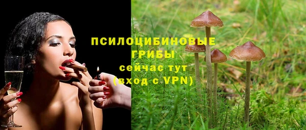 первитин Балахна